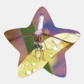 Dragonfly op regenblad ster sticker (Voorkant)