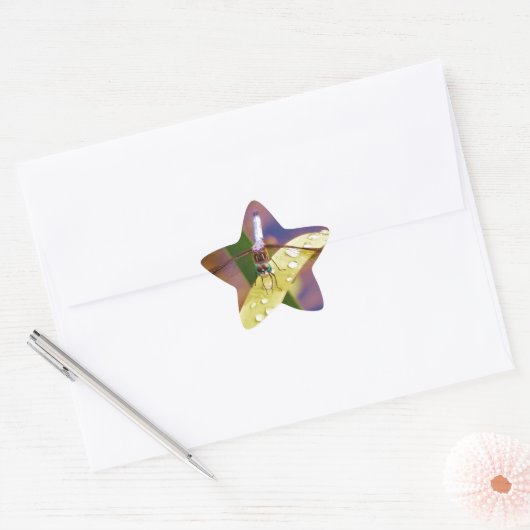 Dragonfly op regenblad ster sticker (Envelop)