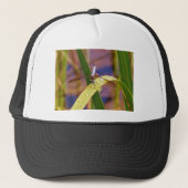 Dragonfly op regenblad trucker pet (Voorkant)