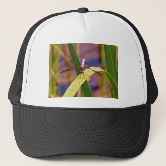 Dragonfly op regenblad trucker pet (Voorkant)