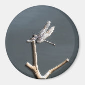Dragonfly op Rest Magneet (Voorkant)