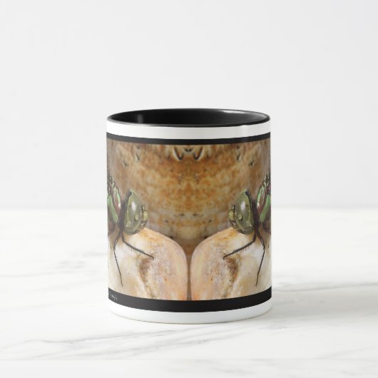 Dragonfly op Rest Mok (Midden)