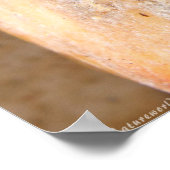 Dragonfly op Rest Poster (Hoek)