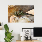 Dragonfly op Rest Poster (Thuiskantoor)