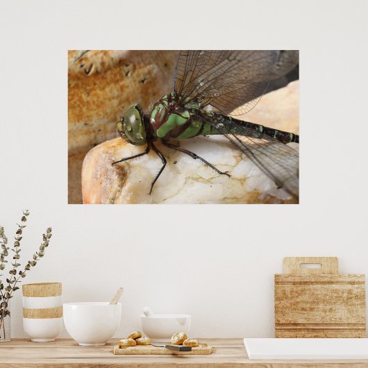 Dragonfly op Rest Poster (Keuken)