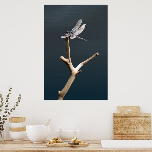 Dragonfly op Rest Poster (Keuken)