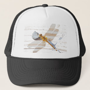 Dragonfly op Rock Trucker Pet