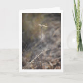 Dragonfly op Stalk Portret Kaart (Voorkant)