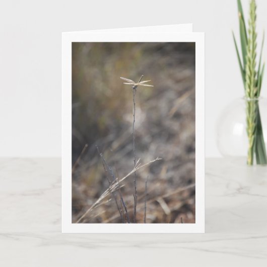 Dragonfly op Stalk Portret Kaart (Voorkant)