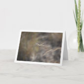 Dragonfly op Stalk Portret Kaart (Voorkant)