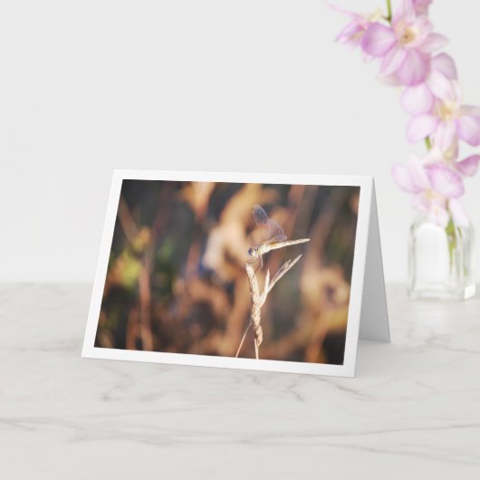 Dragonfly op Stem Portret Kaart (Orchidee)