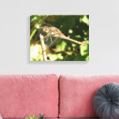 Dragonfly op Twig Canvas Print (Insitu (Woonkamer))