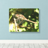 Dragonfly op Twig Canvas Print (Insitu (Houten vloer))