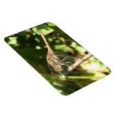 Dragonfly op Twig Flexi Magnet Magneet (Rechterzijde)