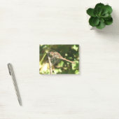 Dragonfly op Twig Post Post-it® Notes (Kantoor)