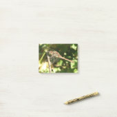 Dragonfly op Twig Post Post-it® Notes (Op bureau)