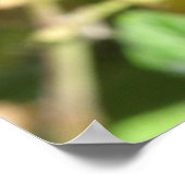 Dragonfly op Twig Print (Hoek)