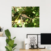 Dragonfly op Twig Print (Thuiskantoor)