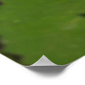 Dragonfly op Water Lily Poster (Hoek)