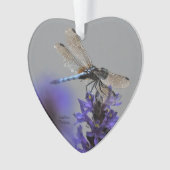 Dragonfly Ornament (voorkant)