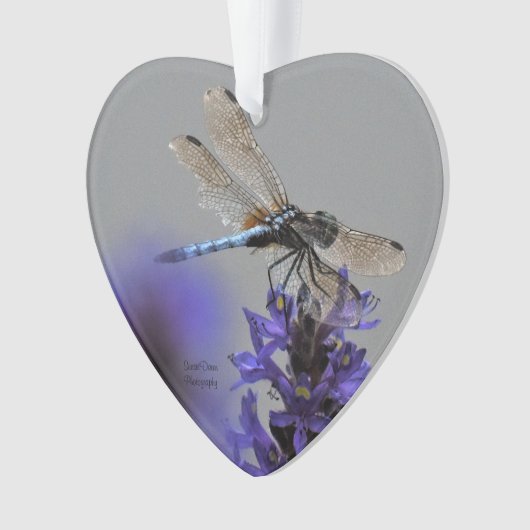 Dragonfly Ornament (voorkant)