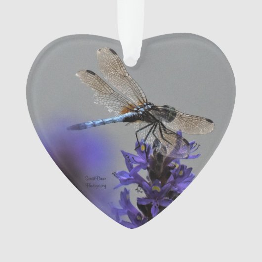 Dragonfly Ornament (voorkant)