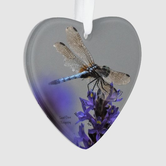 Dragonfly Ornament (voorkant)