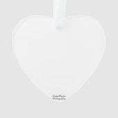 Dragonfly Ornament (achterkant)