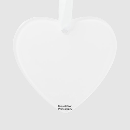 Dragonfly Ornament (achterkant)