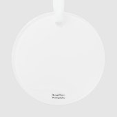 Dragonfly Ornament (achterkant)