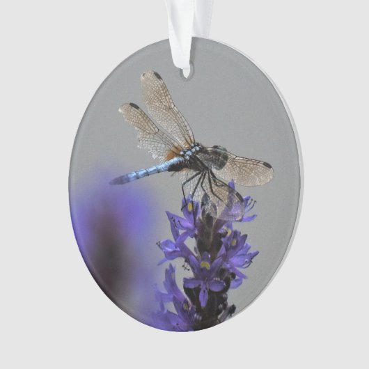 Dragonfly Ornament (voorkant)