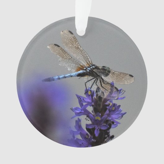 Dragonfly Ornament (voorkant)