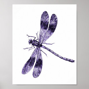 dragonfly - Paars Poster