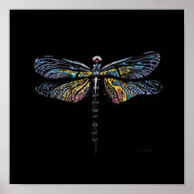 Dragonfly Pen Poster