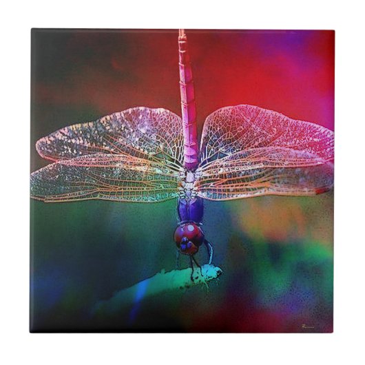 DRAGONFLY PINK DELIGHT.jpg Tegeltje (Voorkant)