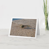 Dragonfly Portret Kaart (Voorkant)