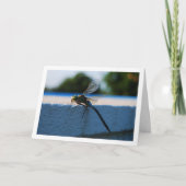 Dragonfly Portret Kaart (Voorkant)