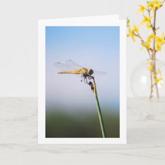 Dragonfly Portret Kaart (Gele Bloem)