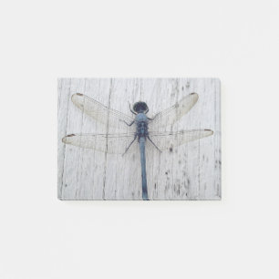 Dragonfly Post-it® Notes