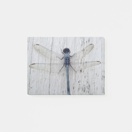Dragonfly Post-it® Notes (Voorkant)
