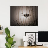 Dragonfly Poster (Thuiskantoor)