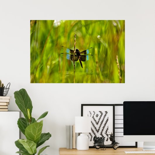 Dragonfly Poster (Thuiskantoor)