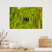 Dragonfly Poster (Keuken)