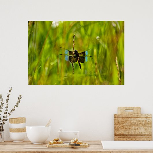 Dragonfly Poster (Keuken)