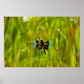 Dragonfly Poster (Voorkant)