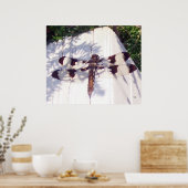 Dragonfly Poster (Keuken)