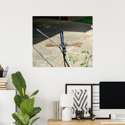 Dragonfly Poster (Thuiskantoor)