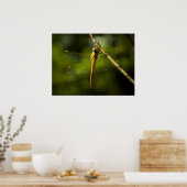 Dragonfly Poster (Keuken)