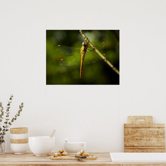 Dragonfly Poster (Keuken)