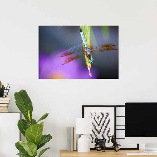 Dragonfly - poster/afdruk poster (Thuiskantoor)